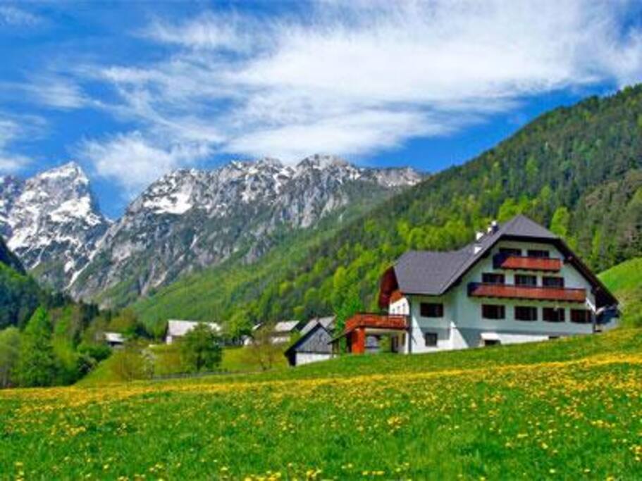 Surrounded with nature