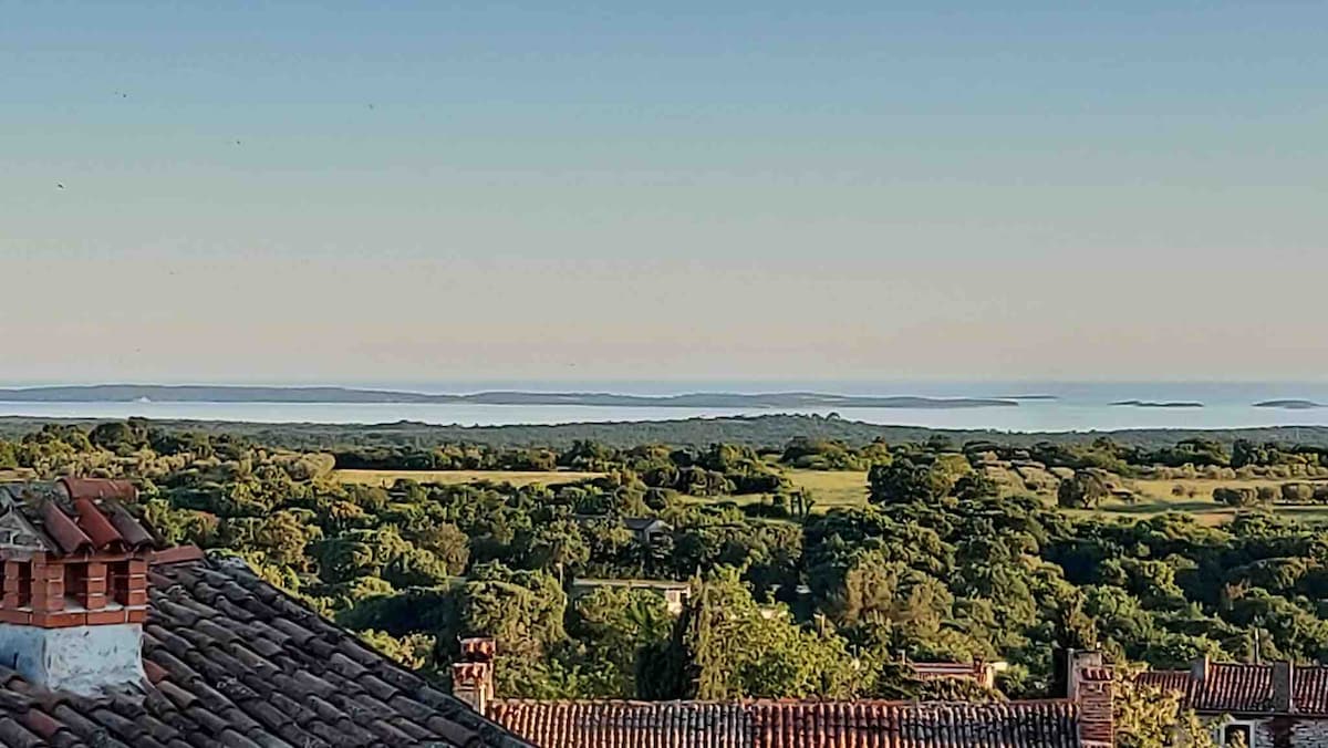 A panoramic view captures the serene landscape of rolling green hills leading to the sea. The horizon presents a tranquil blend of blue water and distant islands, framed by the lush vegetation of Istria under a clear sky.