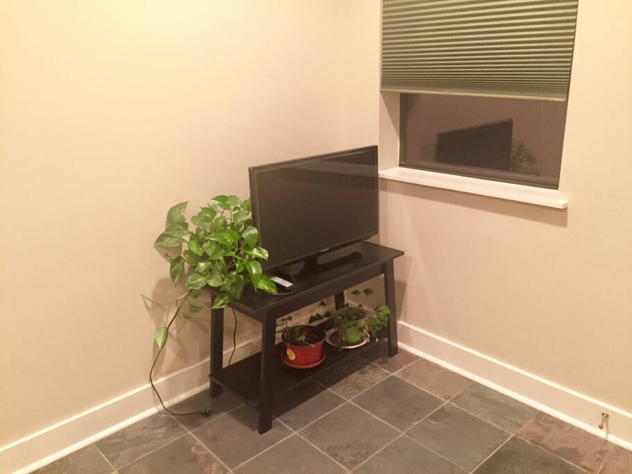 TV in the bedroom (connected to Apple TV)