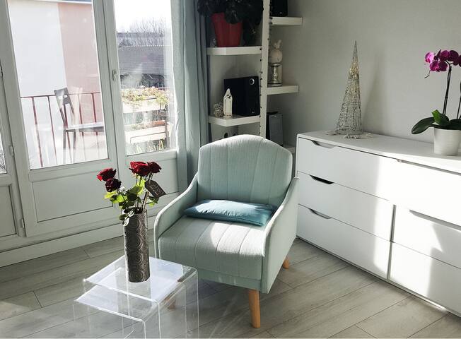 Appartement rénové et lumineux en centre ville