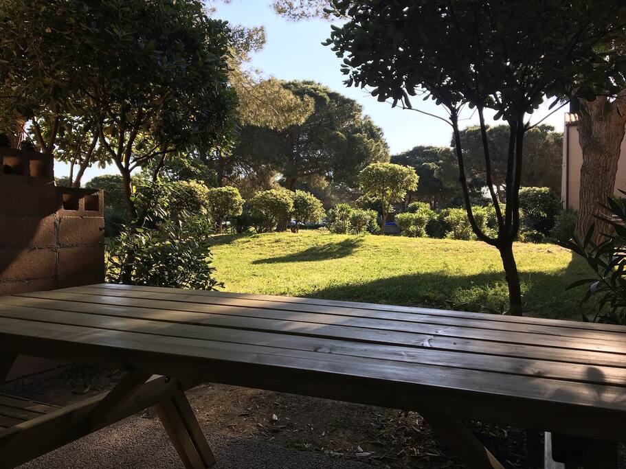 le jardin vu de la terrasse