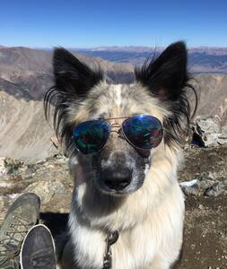 Streamside Haven Retreat