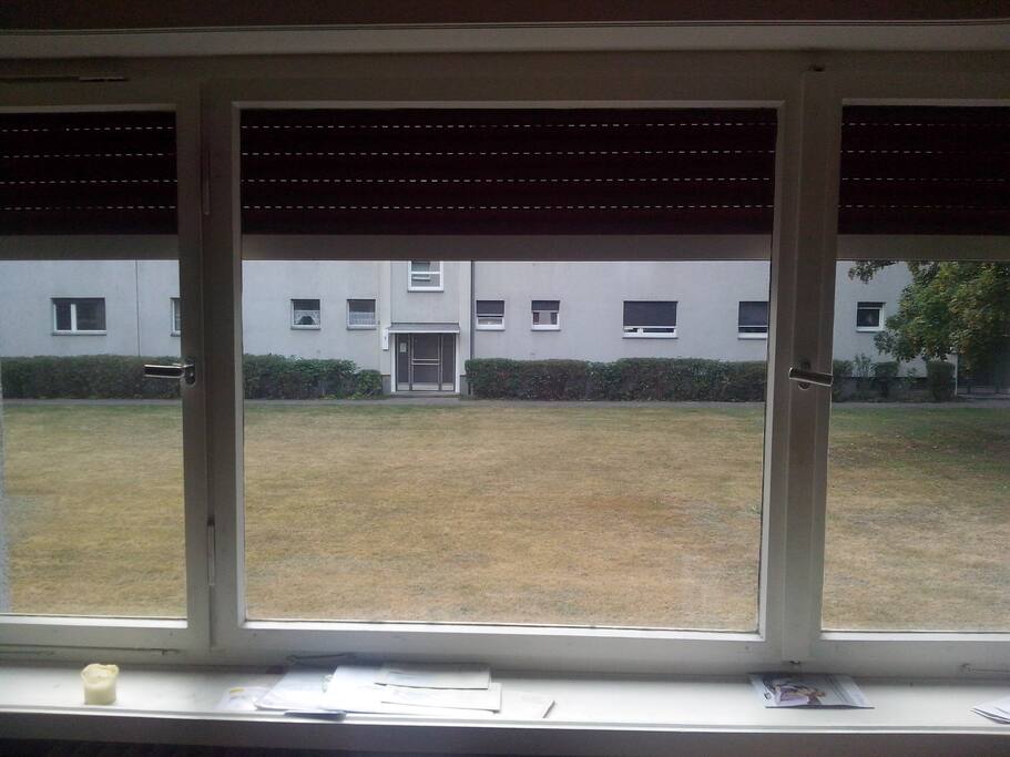 Fenster