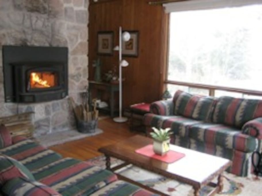 Sun filled living room with a safe and warm wood fire insert.