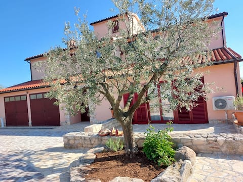 Red Suite - Ruža Galižana