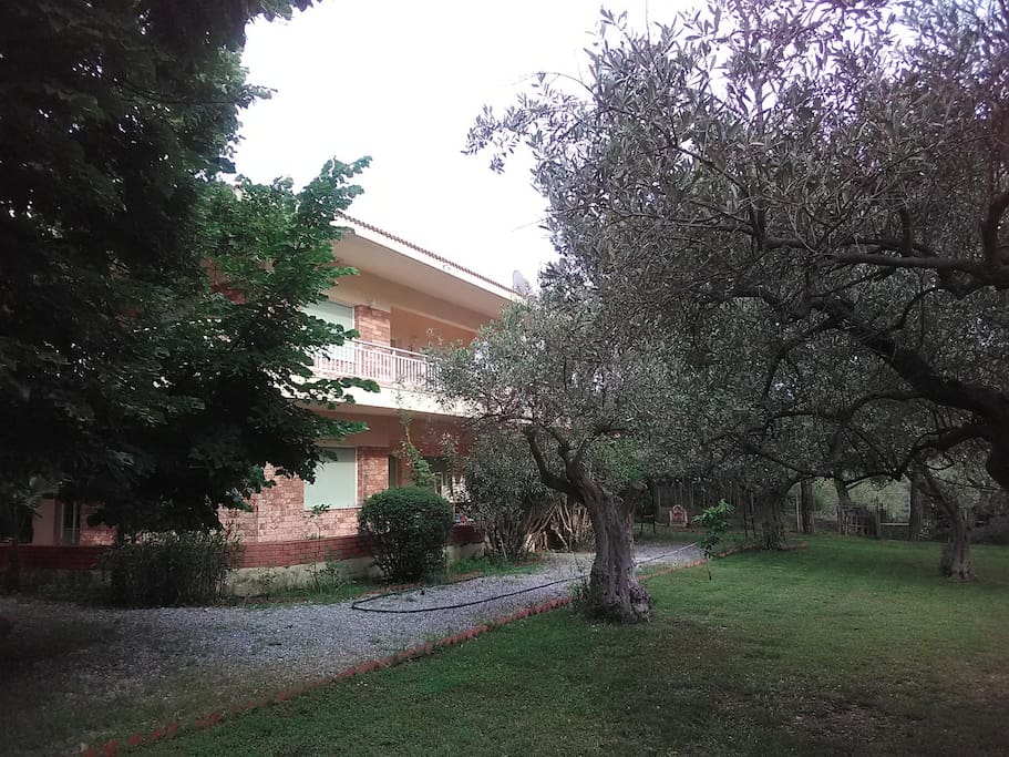 There are olive oils, pine trees, a grand lime tree...