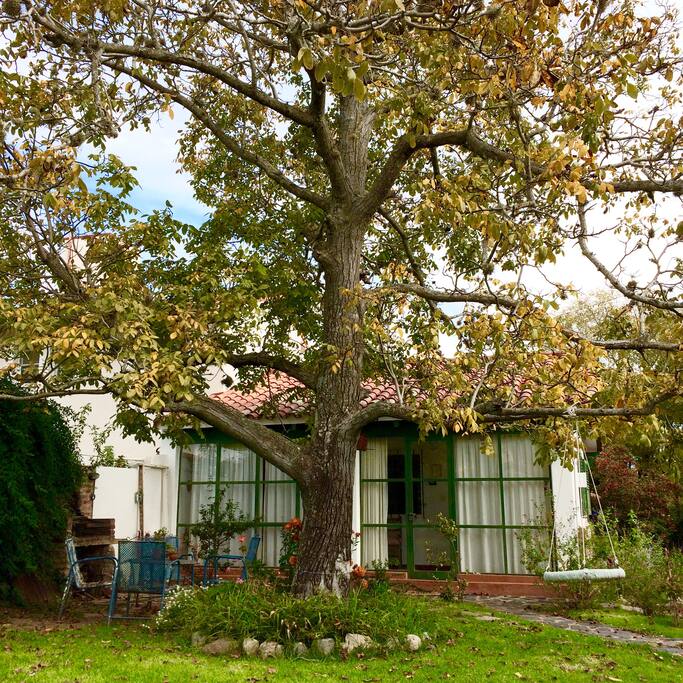 Siesta es una pequeña y delicada casa de huéspedes en el centro de La Cumbre, un hermoso pueblo en las sierras de Córdoba.
Así es como se ve en estos días otoñales.
