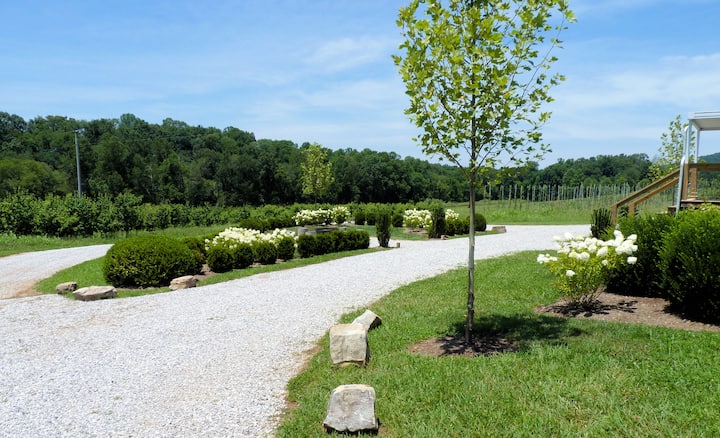 The Getaway at the Collins River Tree Farm