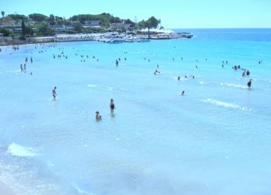 mare