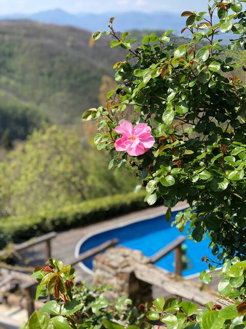 Ca’Rossa
A unique retreat  in North Italy