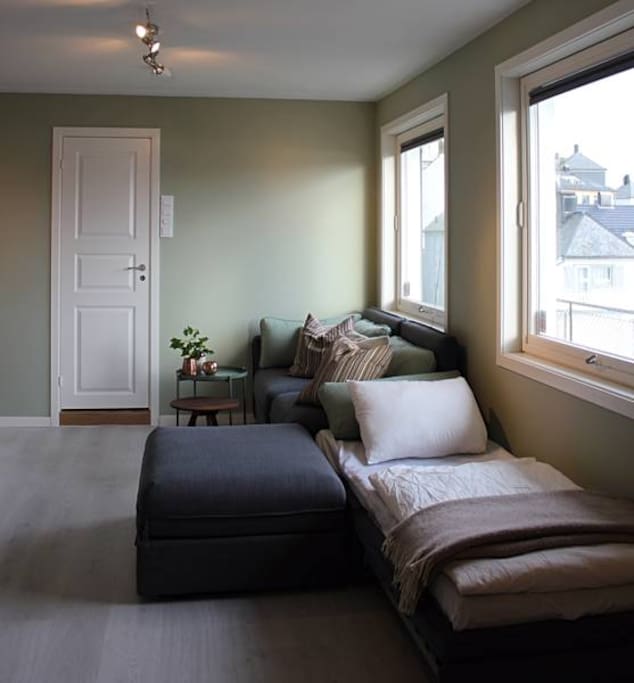 Living room with single bed option