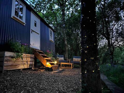 Cornwall Woodland Shepherd's Hut