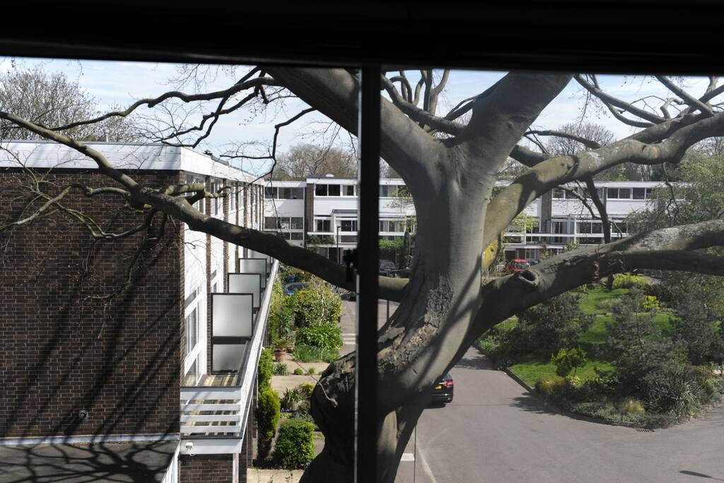 View from the top floor bedroom.