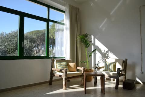 Proprietà Airbnb di successo: Casa Cantasole · Sunny cottage in the olive grove a Brindisi