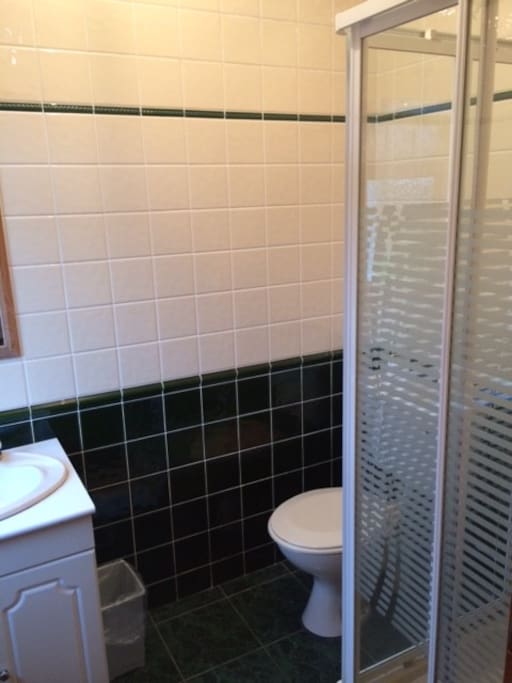 En-suite shower room with electric shower