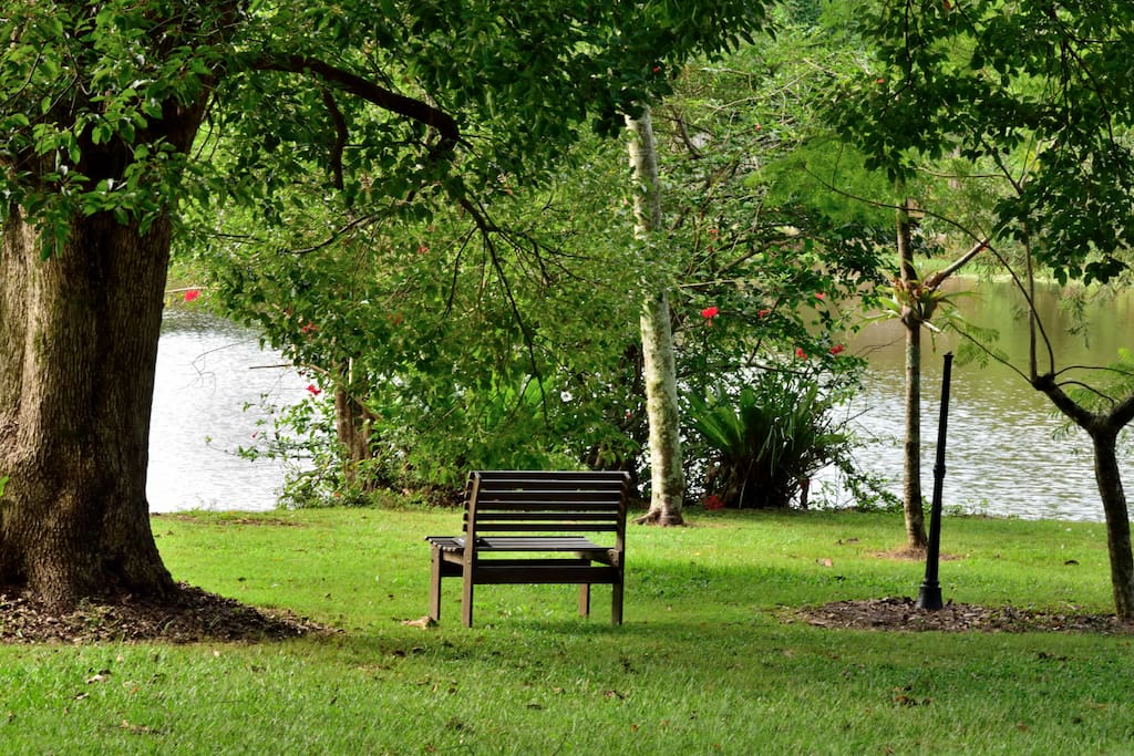 Beautiful lake and grounds to rest and enjoy the peace