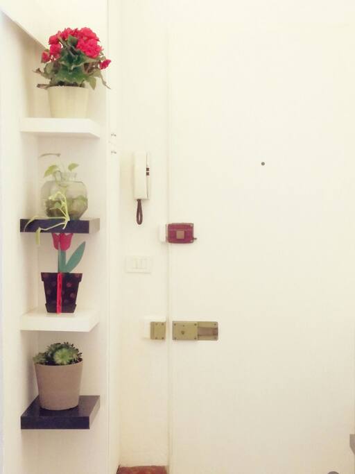 Ingresso, il candore!