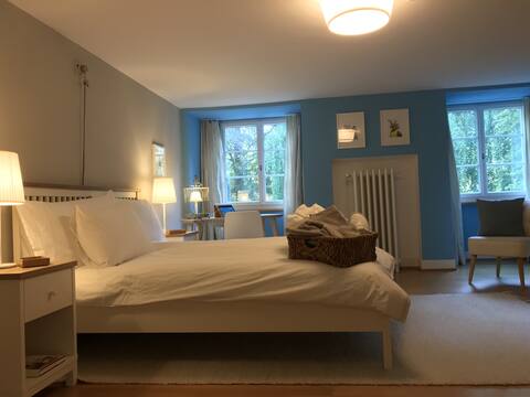 The Blue Room of Villa Jakobsbrunnen