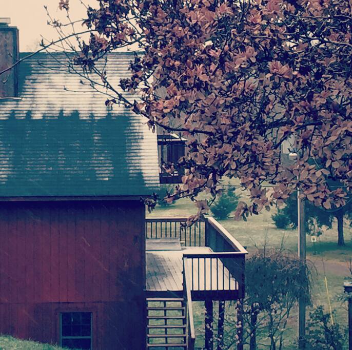 Dusting of Snow. March 2018.