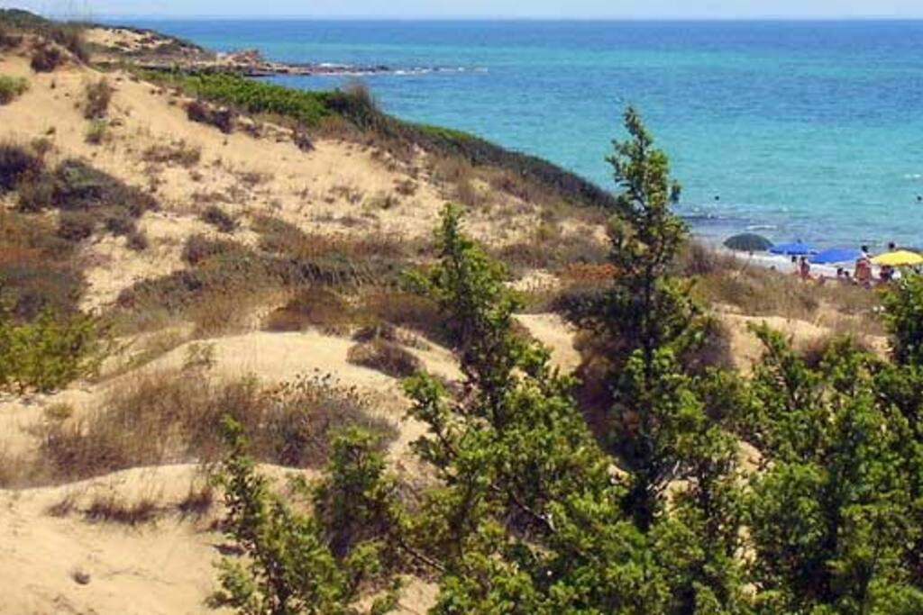 dune di campomarino