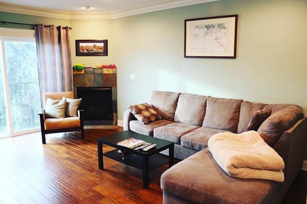 Living room and TV