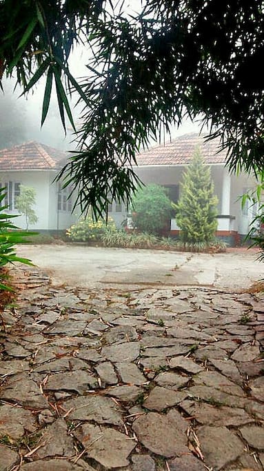 First View