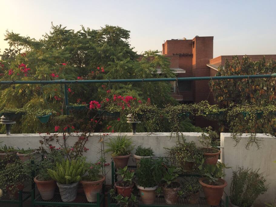 View from the terrace