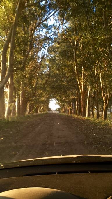 Entrada principal por camino de tierra.