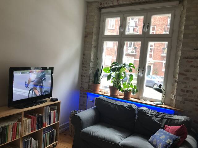 Spacious New Yorker apartment