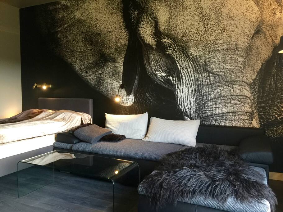 The jungle room.