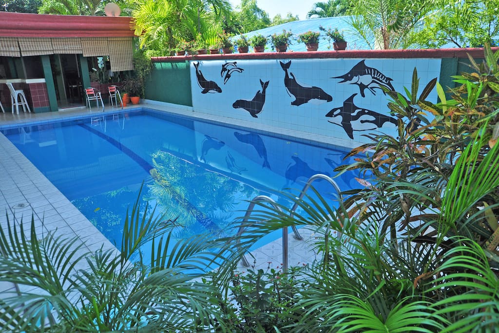 Pool Area