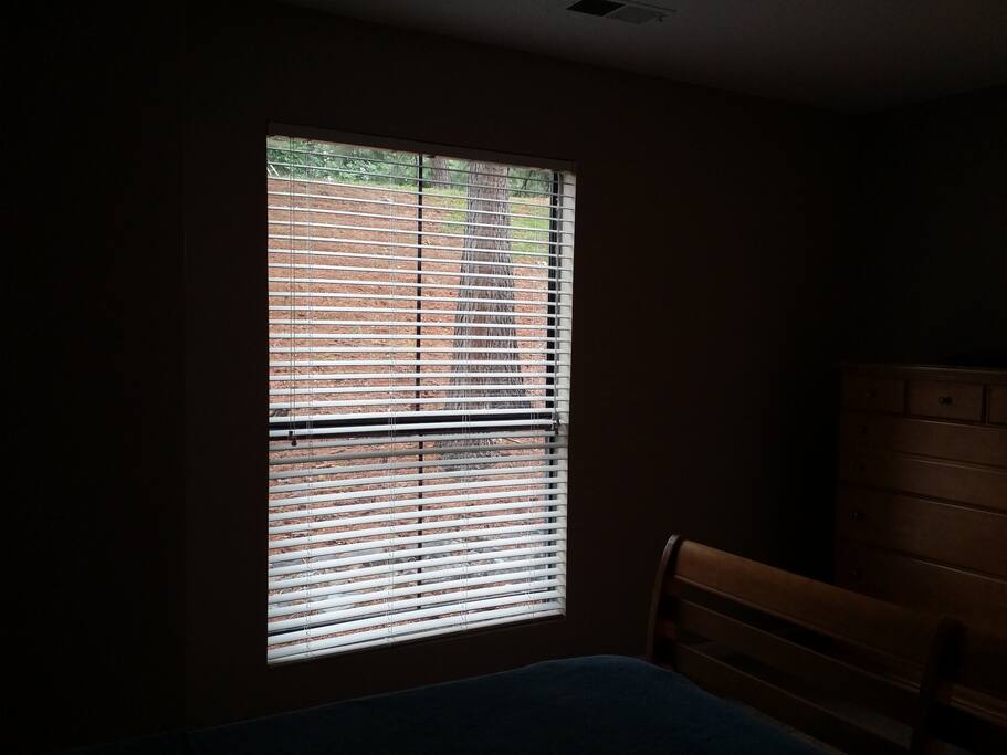 Nice view from window