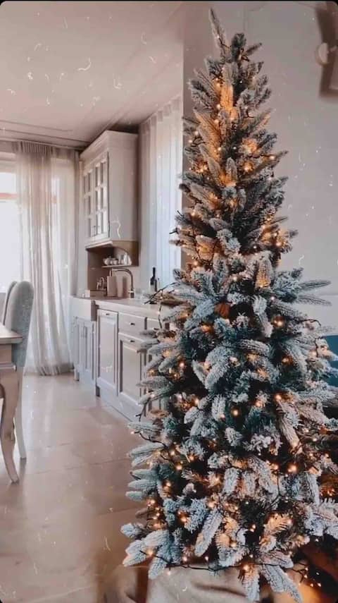 Antea Blu: Beach house in Tuscany 2 bedrooms