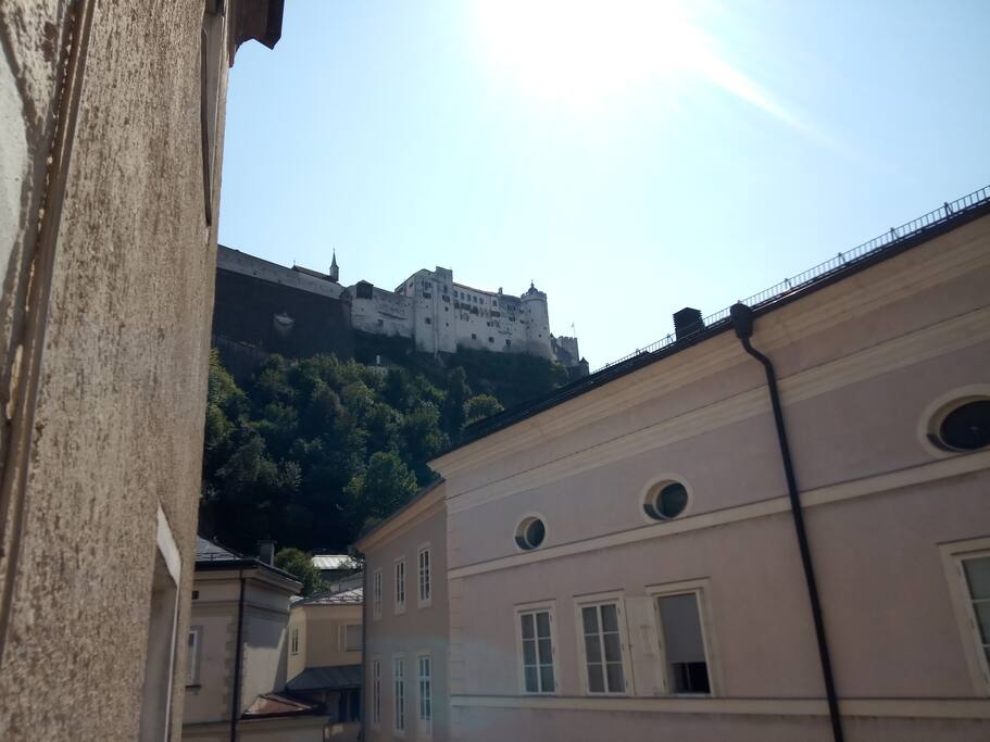 Blick aus dem Fenster, looking out of the window!