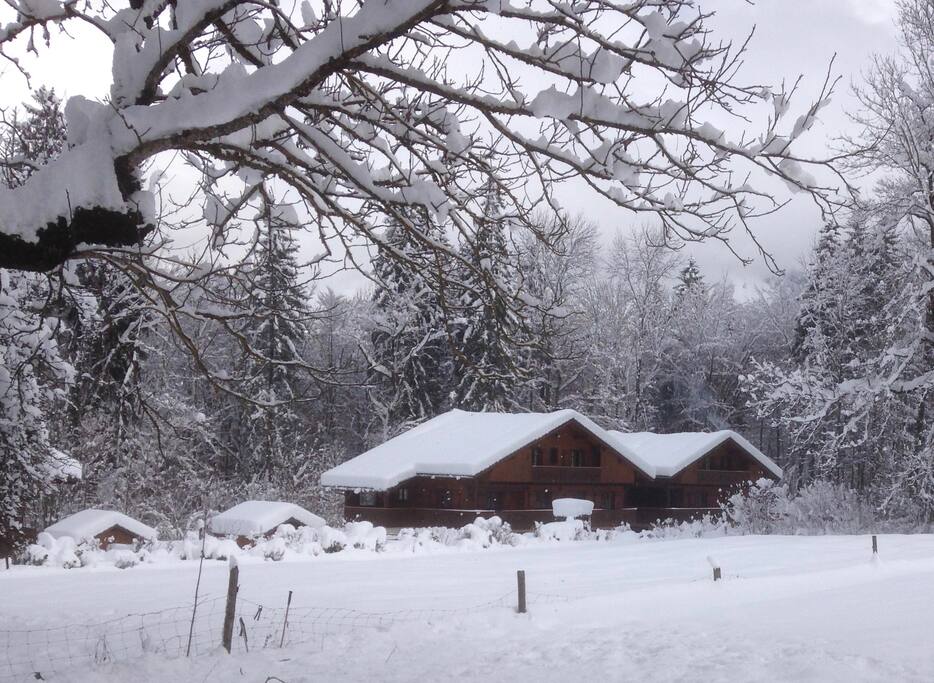 Chalet Esprit