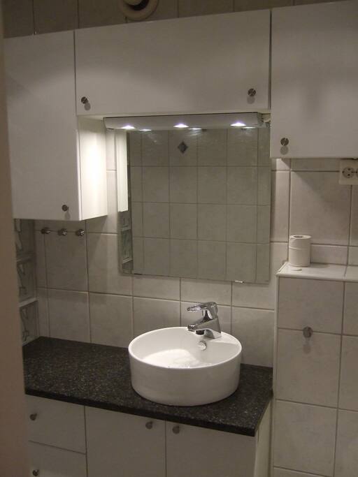 BADEROM MED DUSJ OG TOALETT