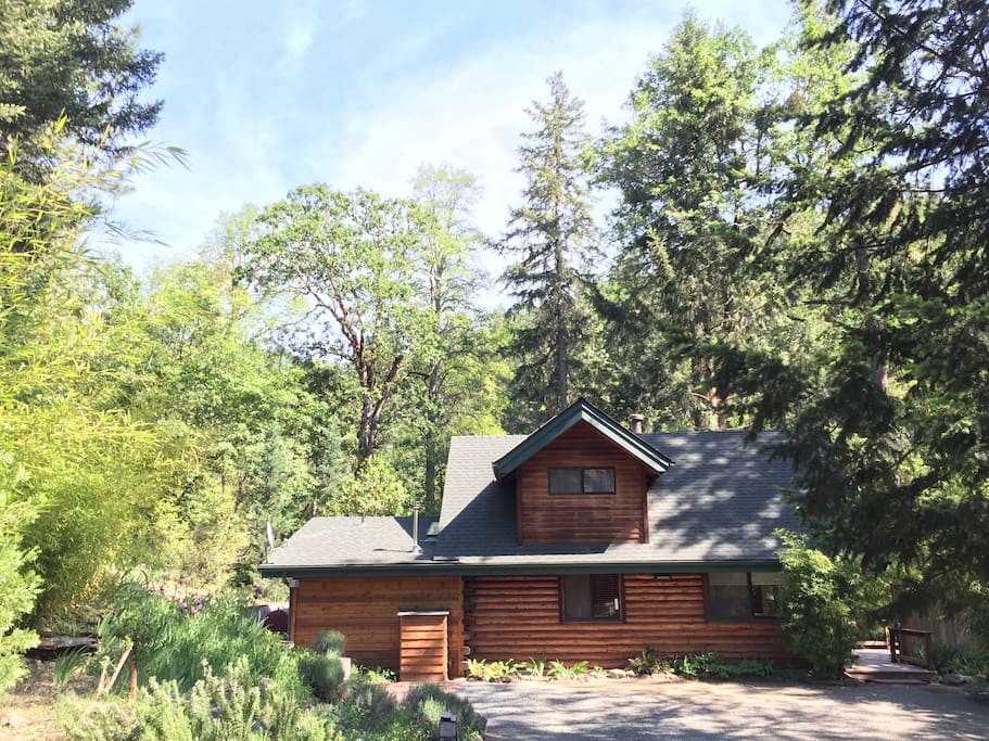 View of the cabin from the driveway