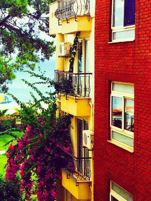 Dış cephesini çiçeklerin süslediği villamız.