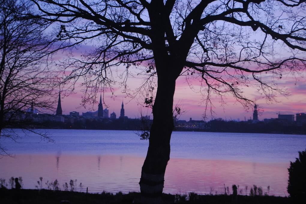 Blick von unserem Grundstück auf die Alster und die Skyline der Stadt