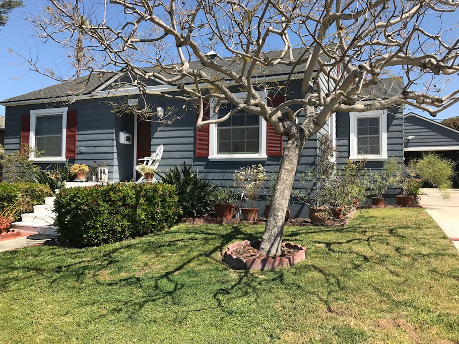 Easy to find one of a kind cottage.