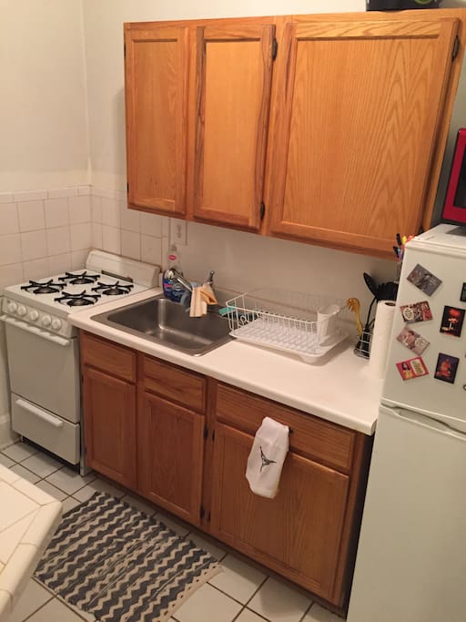Kitchen (stove/microwave/fridge) (no dishwasher)