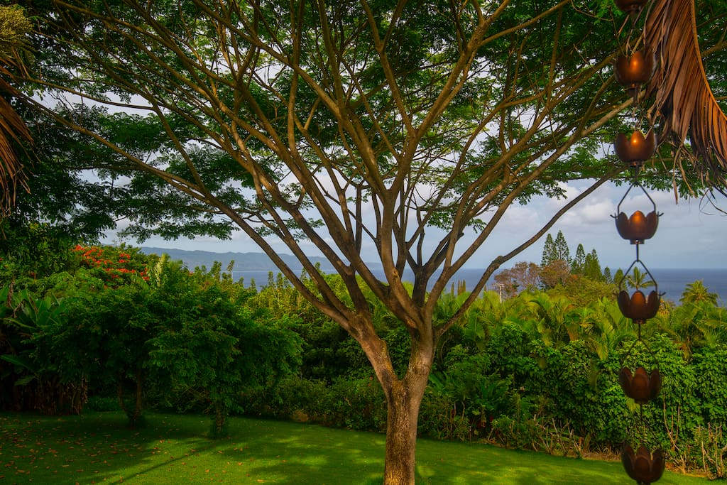 Lookout from lanai