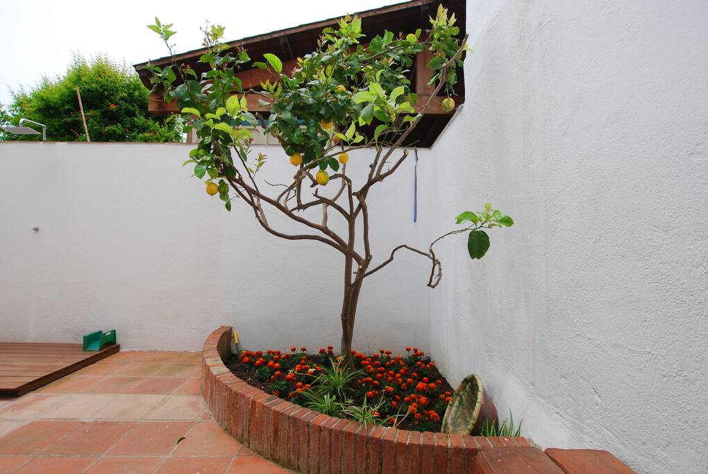 Jardín
