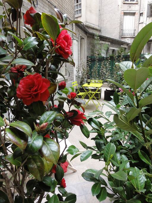 Terrace of the studio perfect for breakfast or a drink