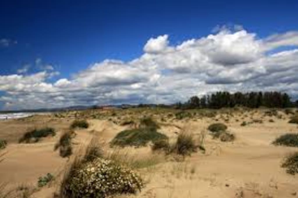 splendida spiaggia