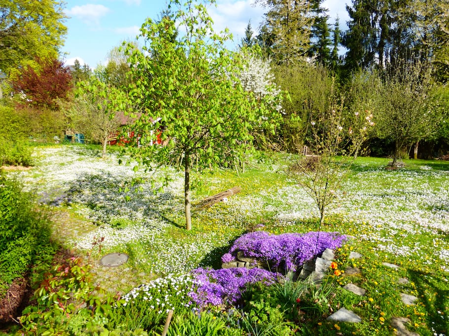 Garten im Frühling