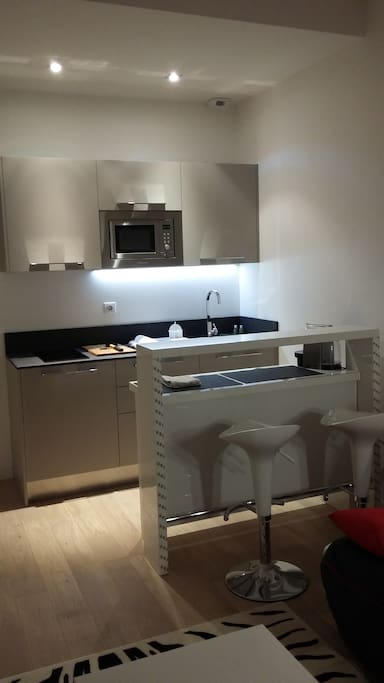la cuisine avec hotte four micro ondes,frigo, plaque induction, machine nespresso...