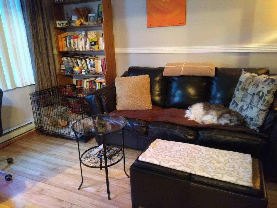 Salon