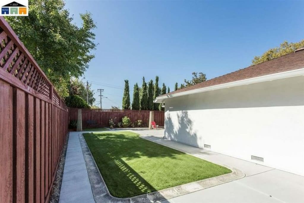 Backyard