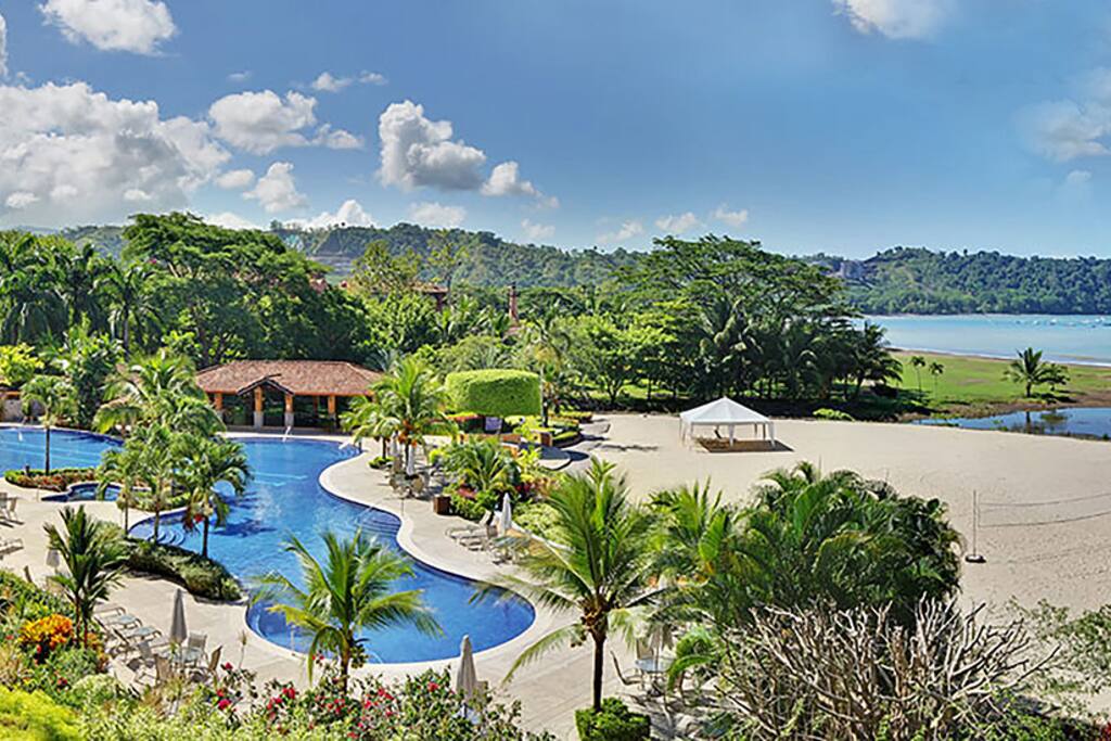 Yard,Hotel,Resort,Palm Tree,Tree